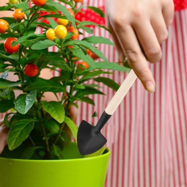 Alternative view of Mini Gardening Tool Set 3-Piece Stainless Steel Hand Shovel Trowel for Planting Weeding Transplanting and Potting Suitable for Indoor and Outdoor Garden Plants