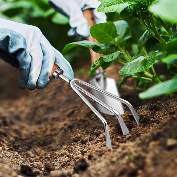 Alternative view of Garden Tool Set, 5 Piece Stainless Steel Gardening Tools with Wooden Handles Hand Tools with Transplanting Hand Shovel, Rake and Root Picker Ideal for Digging and Planting.