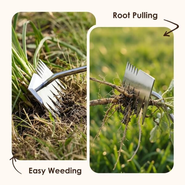 Alternative view of Weed Puller Tool, 2026 Upgraded Portable Manual Weeding Tools Gardening | 6 Teeth Dual Head, Stainless Steel, Durable Build, Hand Weeder Rake, Garden Weed Pulling Tool for Backyard Yard Farm Planting