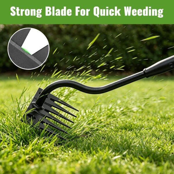 Alternative view of Weeding Rake Long Handle,70 Inch Heavy Duty Metal Manual Weeder Tool for Weeding Loosening Soil Cultivating Weed Puller Tool for Lawn, Garden Beds 6 Teeth Weed Removal Tool for Women and Seniors